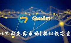 : TPWallet里都是真币吗？揭秘数字资产的真相！