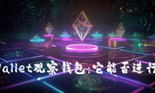 : TPWallet观察钱包：它能否进行交易？