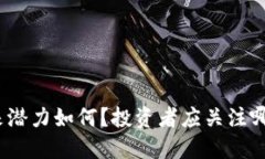 : 波场币未来潜力如何？投资者应关注哪些关键因