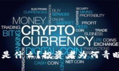 TPWallet DK币是什么？投资者为何青睐这款数字货币