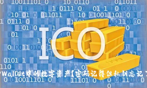 如何找回TPWallet中的数字资产？密码记得但私钥忘记了该怎么办？