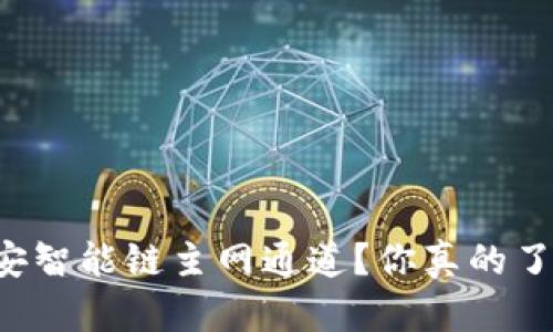 : 什么是TPWallet币安智能链主网通道？你真的了解它的优势和潜力吗？