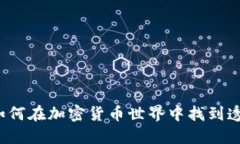 Bitbase官方网站：如何在加密货币世界中找到透明