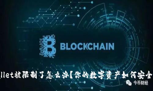 TPWallet被限制了怎么办？你的数字资产如何安全转移？