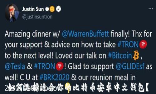 
如何选择适合你的比特币安卓中文钱包？