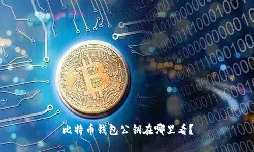 比特币钱包公钥在哪里看？