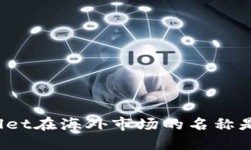 TPWallet在海外市场的名称是什么？