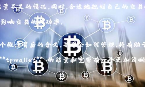 tpwallet 是一个为用户提供加密钱包、交易、资产管理等服务的平台。在这个平台上，有两个较为特殊的概念：**能量**和**宽带**。对于很多新用户来说，理解这些概念可能会有所困难。接下来，我们将深入探讨这两个词的含义及其在 **tpwallet** 中的重要性。

能量是什么？
在 **tpwallet** 中，能量 通常被用来表示用户在进行某些特定操作时所需的资源。想象一下，就像一部汽车需要燃料才能运转，用户在交易、使用智能合约或者进行其他区块链操作时，也需要一定的能量才能顺利完成。这种能量可以视作一种维持运行的动力。

具体来说，**能量** 可以用来支付交易手续费或智能合约的执行成本。在 **tpwallet** 平台上，用户在进行操作时，系统会自动从用户账户中扣除相应的能量。这样一来，用户就能顺利完成各项交易，而不必担心超出预算。

用户的能量值会随着使用情况而变化，即你每进行一次操作，能量值就会减少；而如果你不进行操作，能量值可能会逐渐恢复。这就好比是你开车出行，行驶的公里数越多，油量也就消耗得越快，停车不动的话油量会慢慢回复。

宽带是什么？
接下来，我们再来聊聊 **宽带**。在 **tpwallet** 的背景下，这个词则表示用户的网络带宽限制。想象一下，当你在家上网时，带宽决定了你能多快下载文件、播放视频或进行其他网络活动。在这个平台上，用户的宽带同样是个关键因素，涉及到数据的传输速度和效率。

当你进行交易或者访问智能合约时，平台需要通过网络把相关数据传送到区块链上。这时，宽带就能影响你交易的速度和顺畅程度。如果宽带足够大，你的操作会更快完成；反之，如果宽带有限，交易的确认时间可能会延长，导致体验不佳。

能量与宽带的关系
尽管 **能量** 和 **宽带** 是两个不同的概念，但它们在某种程度上相辅相成。想象一下，就像一条公路，能量就像是车辆的动力，而宽带则是这条路的通行能力。如果一辆车拥有足够的动力，但公路拥堵，那么它的速度依然会受到影响。同样，用户在 **tpwallet** 上的操作，如果能量充足但宽带不足，仍然会导致延迟。

如何管理能量与宽带？
对于用户来说，了解如何有效管理自己的能量和宽带至关重要。首先，用户可以定期检查自己的能量值，确保在需要进行交易时不会出现能量不足的情况。同时，合适地规划自己的交易时间也是很重要的。有些时候，一些高流量时段会导致网络拥堵，用户可以选择在低峰时段进行交易，减少等待时间。

另外，使用稳定且快速的网络连接也能有效提高用户的交易效率。比如，尽量避免在公共 Wi-Fi 网络下进行重要交易，以防因网络波动而影响交易的成功率。

总结
在 **tpwallet** 中，能量 和 宽带 是两个非常关键的概念。它们不仅影响着用户的交易效率，也直接影响到用户的整体体验。理解这两个概念背后的含义，并学会如何管理，将有助于用户更好地使用 **tpwallet** 平台，让加密资产的管理变得更加轻松和高效。

总的来说，随着加密货币和区块链技术的不断发展，掌握相关知识对于每一个用户来说都是非常重要的。希望通过这篇文章，能够让你对 **tpwallet** 的能量和宽带有一个更加清晰的认识。

tpwallet的能量和宽带代表什么？