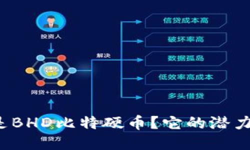 什么是BHD比特硬币？它的潜力如何？