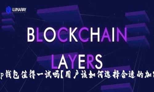 Bitkeep钱包值得一试吗？用户该如何选择合适的加密钱包？