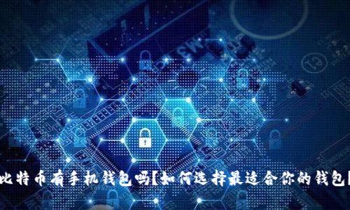 比特币有手机钱包吗？如何选择最适合你的钱包？