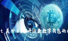 TPWallet 是什么？揭开这款数字钱包的神秘面纱