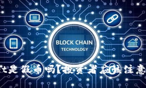 : TPWallet是假币吗？投资者应该注意哪些风险？