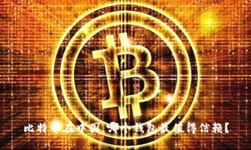 比特币在中国：哪个钱包最值得信赖？