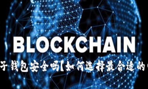 区块链电子钱包安全吗？如何选择最合适的电子钱包？