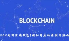 BCX为何没有钱包？揭秘背后的原因与影响