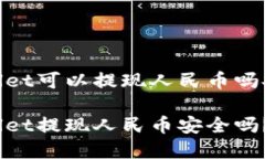 tpwallet可以提现人民币吗安全吗tpwallet提现人民币