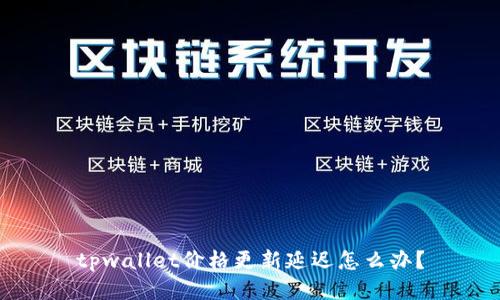tpwallet价格更新延迟怎么办？