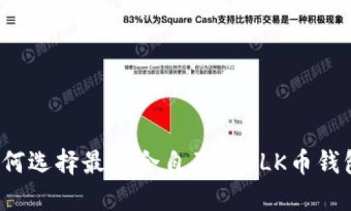 如何选择最适合自己的BLK币钱包？