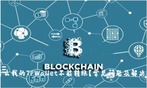 为什么我的TPWallet不能转账？常见问题及解决办法