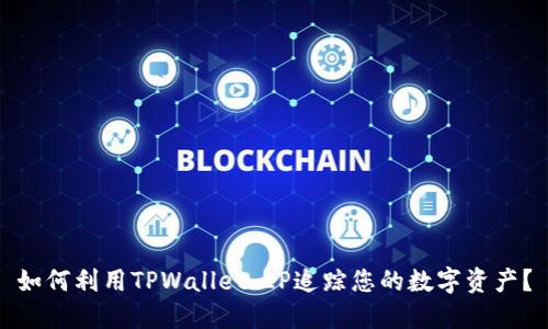 如何利用TPWallet IP追踪您的数字资产？