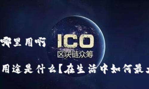 数字钱包去哪里用啊

数字钱包的用途是什么？在生活中如何最大化利用它？