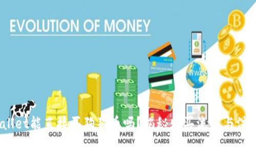  tpwallet能直接买狗狗币吗？揭秘购买流程与注意事项