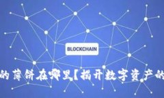 tpwallet的薄饼在哪里？揭开数字资产的神秘面纱