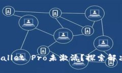 为什么你的TP Wallet Pro未激活？探索解决方案与常