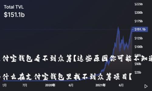 支付宝钱包看不到众筹？这些原因你可能不知道！

为什么在支付宝钱包里找不到众筹项目？