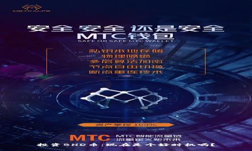 投资BHD币：现在是个好时机吗？