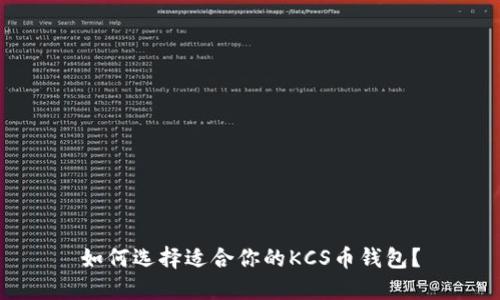 如何选择适合你的KCS币钱包？