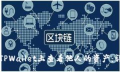 pre如何在TPWallet上查看他人的资产：详细指南