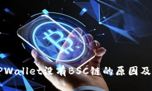 电脑版TPWallet没有BSC链的原因及解决方案
