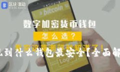 USDT提现到什么钱包最安全？全面解析与推荐