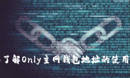全面了解Only主网钱包地址的使用指南