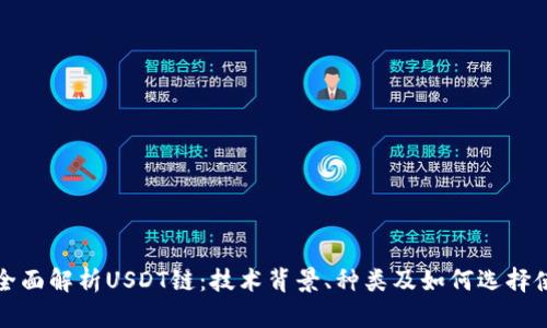 : 全面解析USDT链：技术背景、种类及如何选择使用