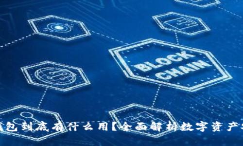 把币存到钱包到底有什么用？全面解析数字资产安全与管理