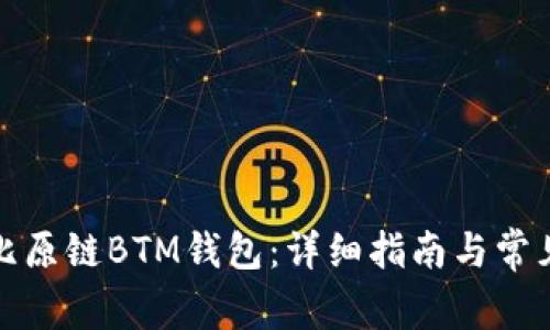 如何使用比原链BTM钱包：详细指南与常见问题解答