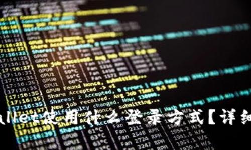 TPWallet使用什么登录方式？详细解析