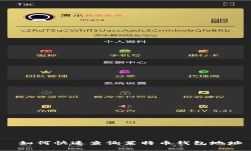  如何快速查询莱特币钱包地址