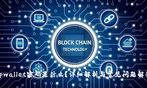 tpwallet密码是什么？详细解析与常见问题解答