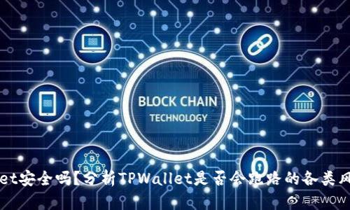 TPWallet安全吗？分析TPWallet是否会跑路的各类风险因素