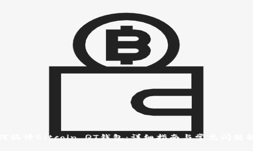 如何编译Bitcoin QT钱包：详细指南与常见问题解答