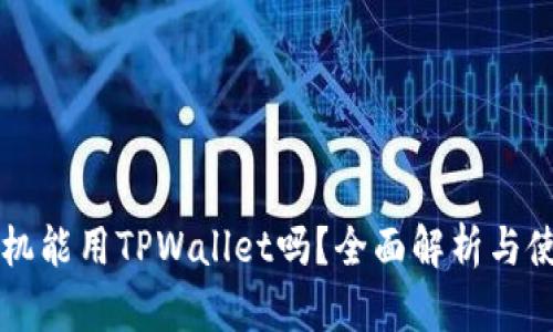苹果手机能用TPWallet吗？全面解析与使用指南