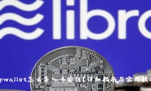 tpwallet怎么导入币安链？详细指南与实用技巧