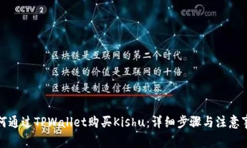 如何通过TPWallet购买Kishu：详细步骤与注意事项