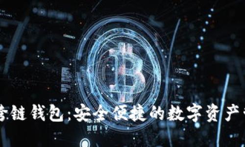 : BTCS跨链钱包：安全便捷的数字资产管理工具